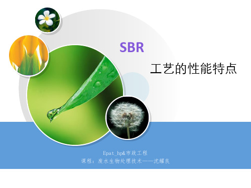 SBR性能特点