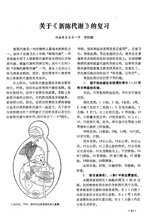 关于《新陈代谢》的复习