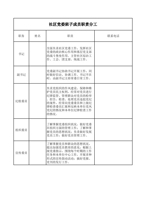 党委班子分工职责