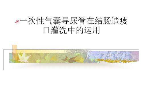 一次性气囊导尿管在结肠造瘘口灌洗中的运用课件