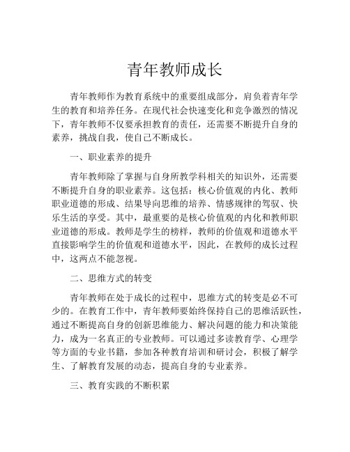 青年教师成长