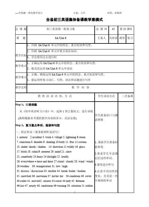 8A Unit 6英语复习教学案