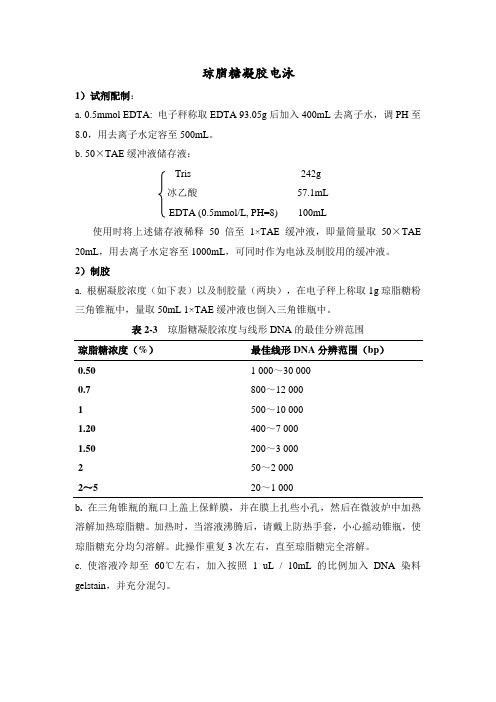 DNA电泳