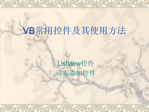 VB常见控件及其使用方法简介