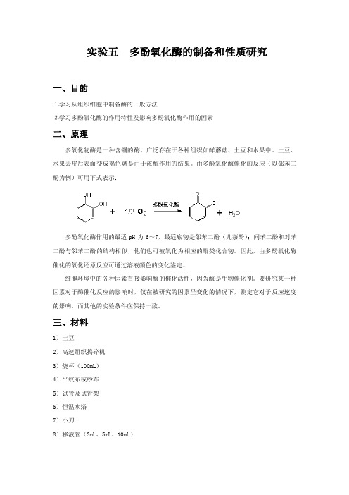 实验五多酚氧化酶的制备和性质研究