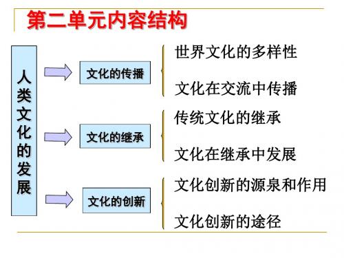 世界文化多样性(自己整理)