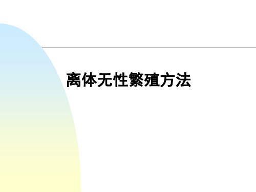 大学课程植物组织培养14章快繁--组培课件