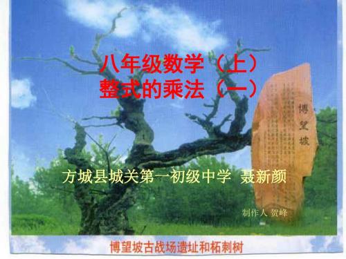 整式的乘法ppt2 华东师大版