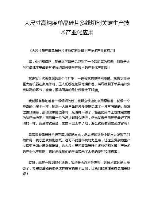 大尺寸高纯度单晶硅片多线切割关键生产技术产业化应用