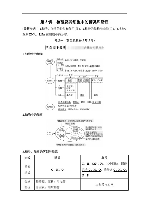 2019版高考生物创新一轮复习文档：第一单元 细胞的化学组成 第3讲 含答案 精品