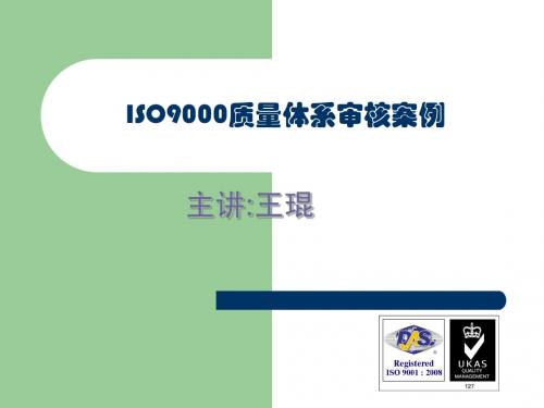 ISO9000质量体系审核案例