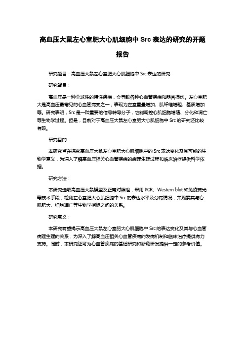 高血压大鼠左心室肥大心肌细胞中Src表达的研究的开题报告