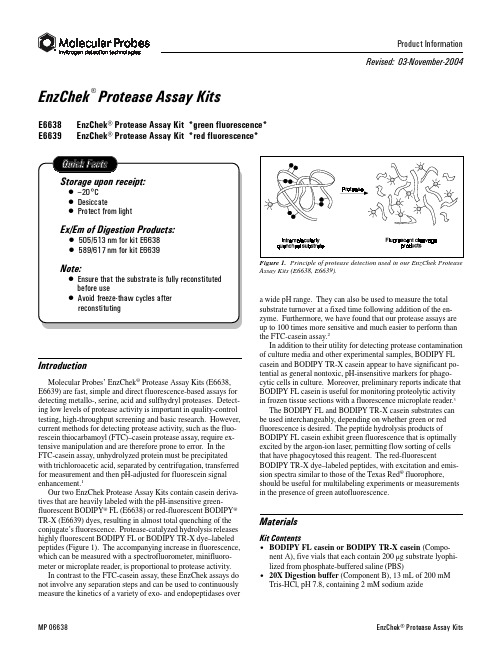 EnzChek Protease Assay Kits