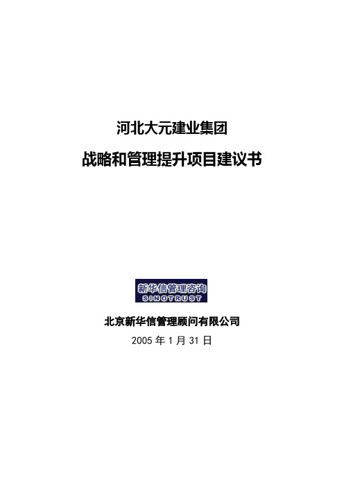 大元集团战略和管理提升项目建议书 新华信 