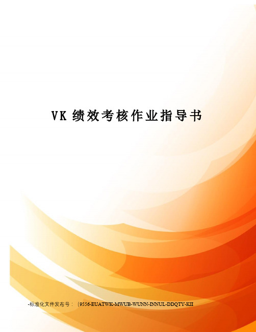 VK绩效考核作业指导书