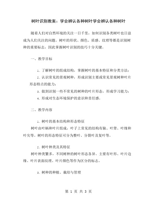 树叶识别教案：学会辨认各种树叶