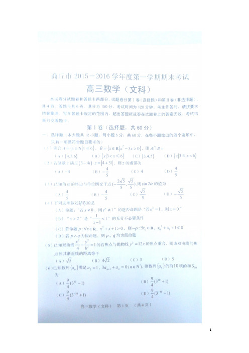 河南省商丘市第一高级中学高三数学上学期期末考试试题 文(扫描版)