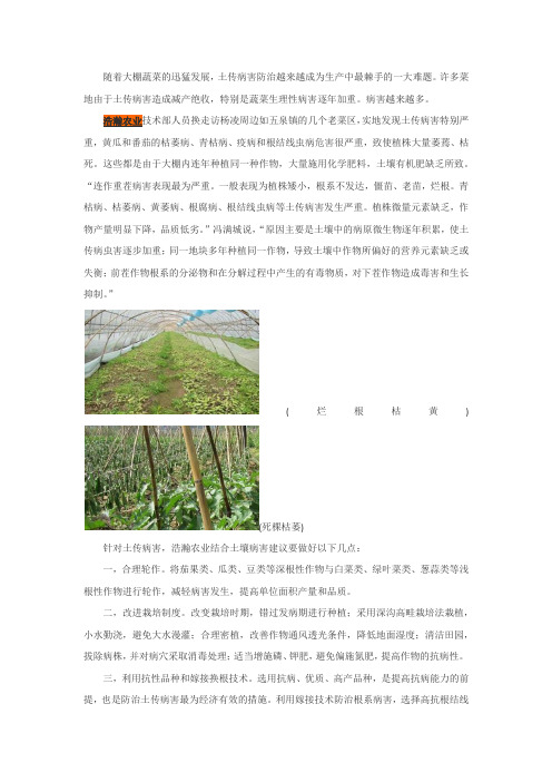 土传病害防治
