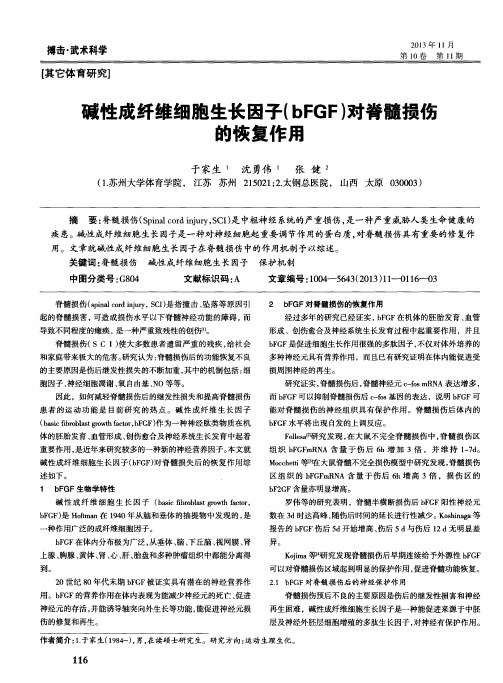 碱性成纤维细胞生长因子(bFGF)对脊髓损伤的恢复作用