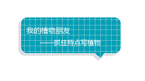 小学语文部编版三年级下册第一单元习作《我的植物朋友》教学课件