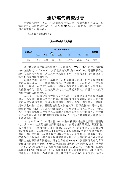 焦炉煤气调查报告