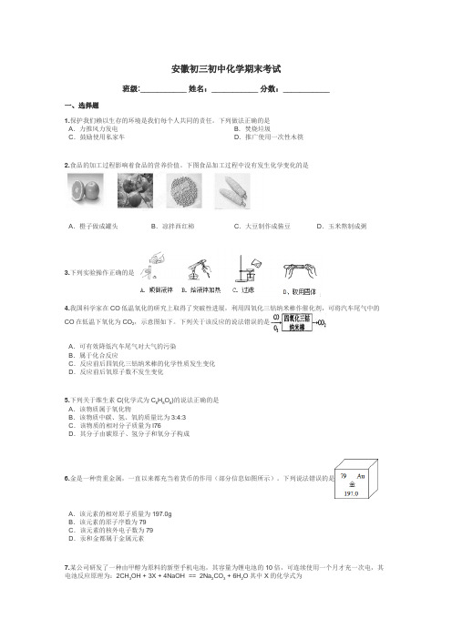 安徽初三初中化学期末考试带答案解析
