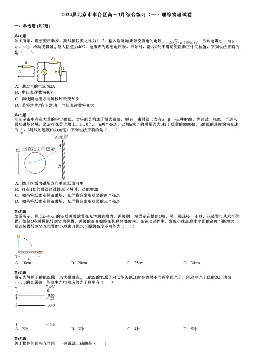 2024届北京市丰台区高三3月综合练习(一)理综物理试卷