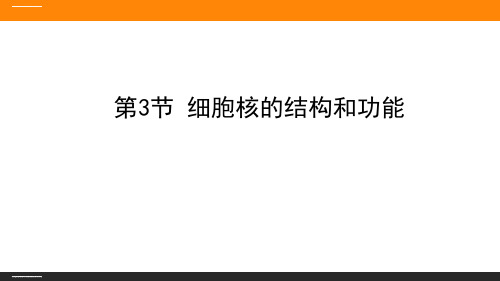 《细胞核的结构和功能》细胞的基本结构PPT课件优秀课件