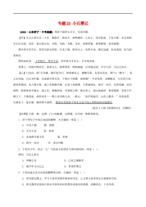 中考语文之文言文对比阅读(全国通用)专题23 小石潭记(解析版)