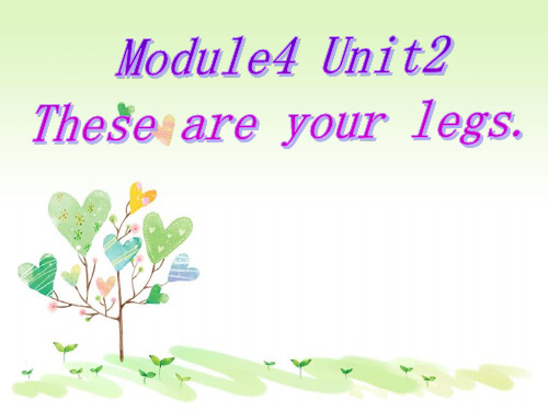 外研版(一起)一年级下册Module 4《Unit 2 These are your legs》ppt课件2