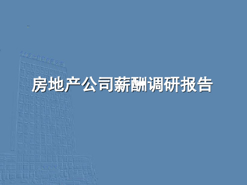 房地产公司薪酬调研报告