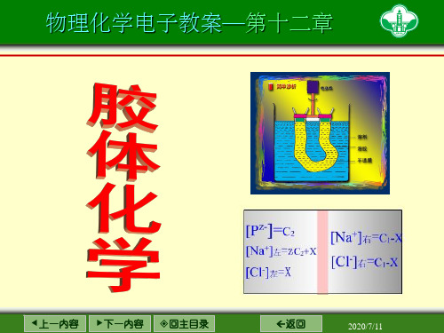 第十二章 胶体化学ppt课件