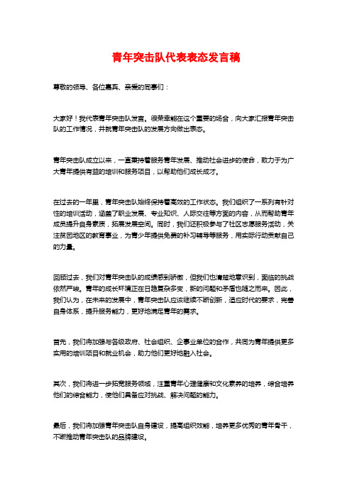 青年突击队代表表态发言稿