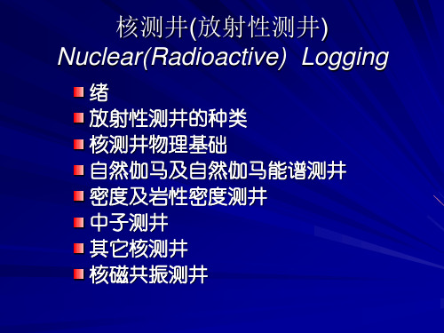 核测井(放射性测井)