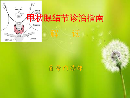 甲状腺结节诊治指南.ppt