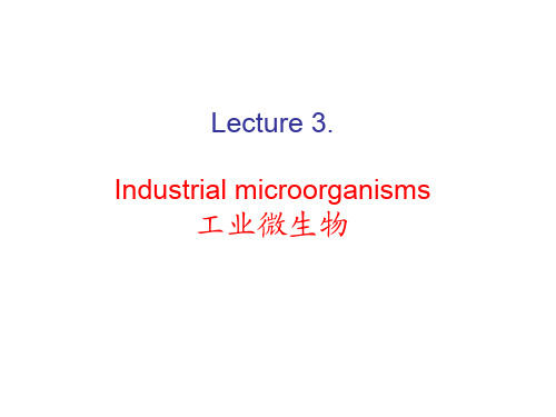 Lecture 3industrial microorganism