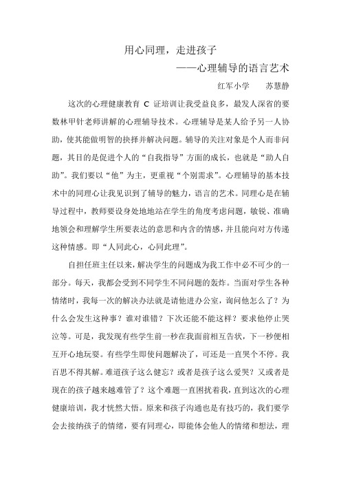 C证论文