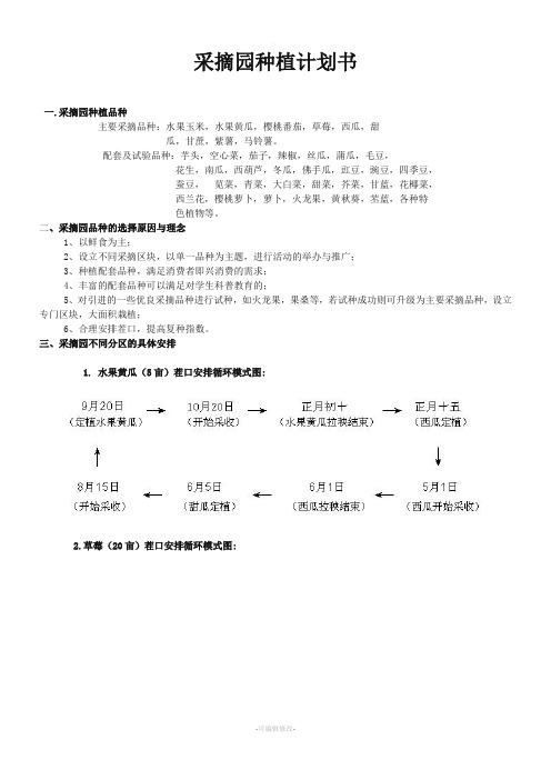 采摘园种植计划书