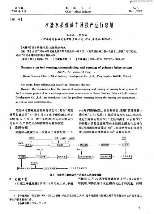 一次盐水系统试车及投产运行总结