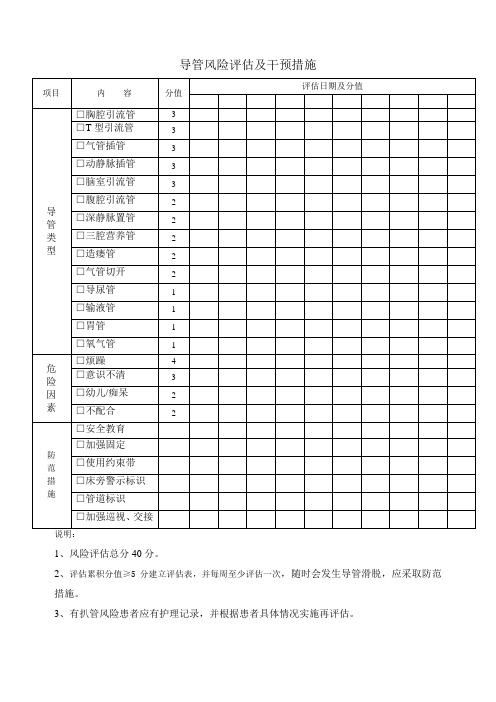 导管风险评估及干预措施 Microsoft Word 文档