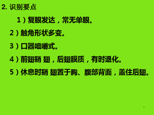 园林植物害虫的主要类群