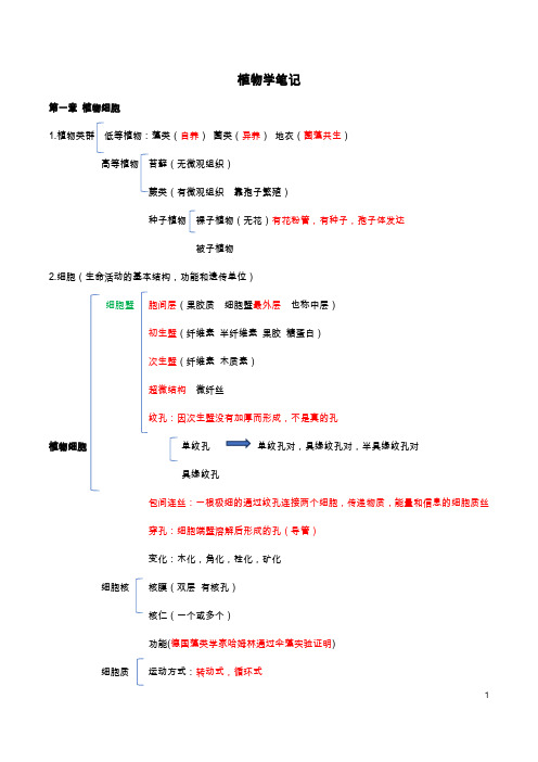 植物学笔记