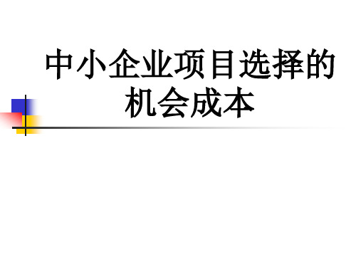 中小企业项目选择的机会成本(经贸)ppt-中小企业项目选