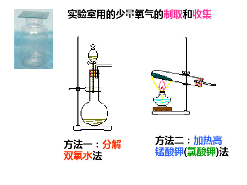 七年级科学氧气的实验室制法