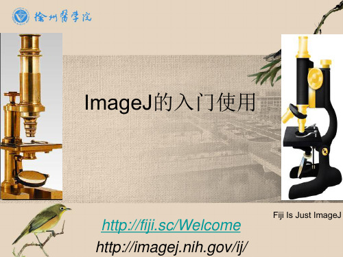 imageJ