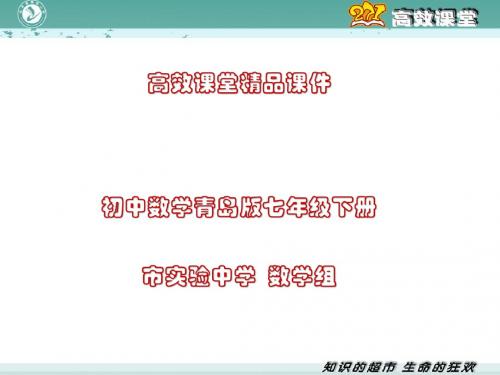 初中数学青岛版七年级下册高效课堂资料11.6零指数幂与负整数指数幂