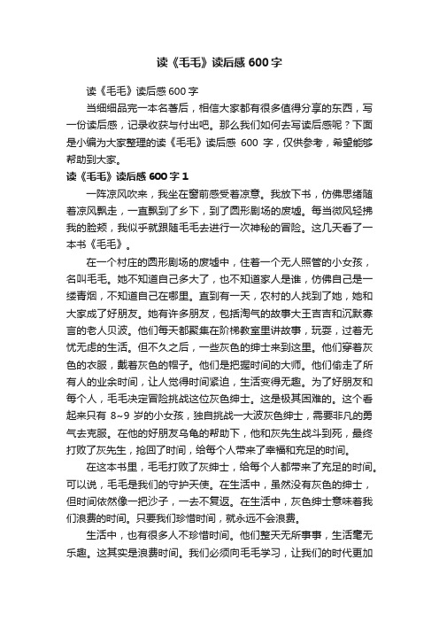 读《毛毛》读后感600字