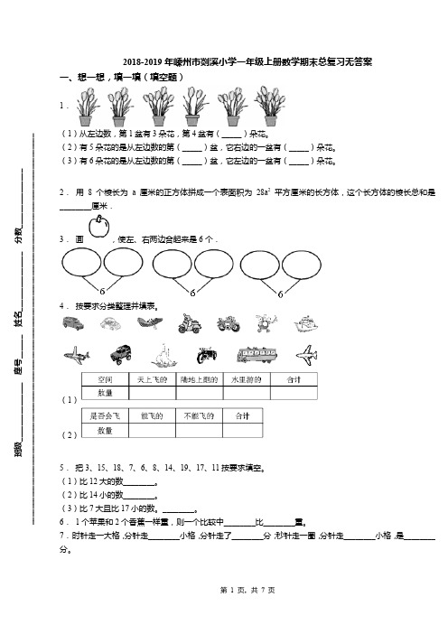 2018-2019年嵊州市剡溪小学一年级上册数学期末总复习无答案