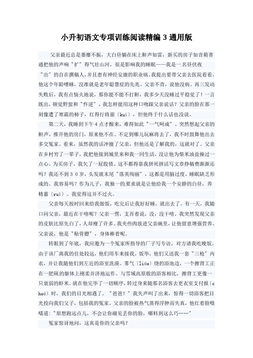 小升初语文专项训练阅读精编3通用版