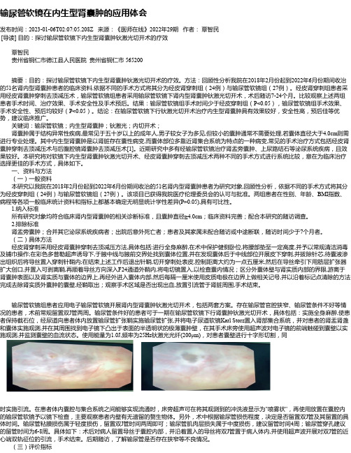 输尿管软镜在内生型肾囊肿的应用体会